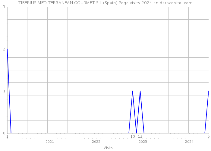 TIBERIUS MEDITERRANEAN GOURMET S.L (Spain) Page visits 2024 