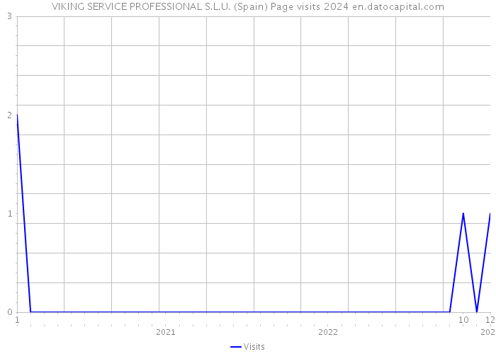 VIKING SERVICE PROFESSIONAL S.L.U. (Spain) Page visits 2024 