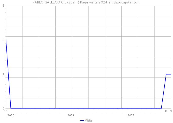 PABLO GALLEGO GIL (Spain) Page visits 2024 