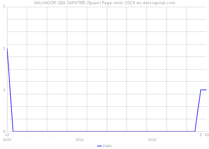SALVADOR GEA ZAPATER (Spain) Page visits 2024 