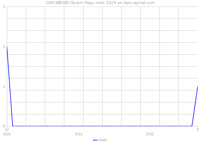 GAN WENJIE (Spain) Page visits 2024 