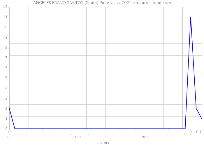 ANGELES BRAVO SANTOS (Spain) Page visits 2024 