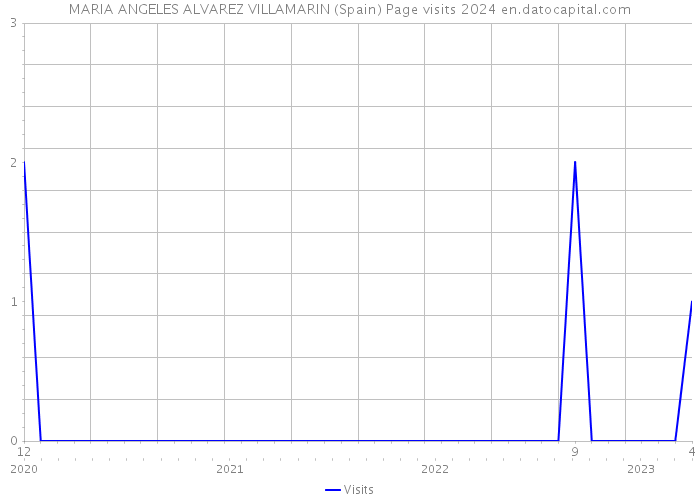 MARIA ANGELES ALVAREZ VILLAMARIN (Spain) Page visits 2024 