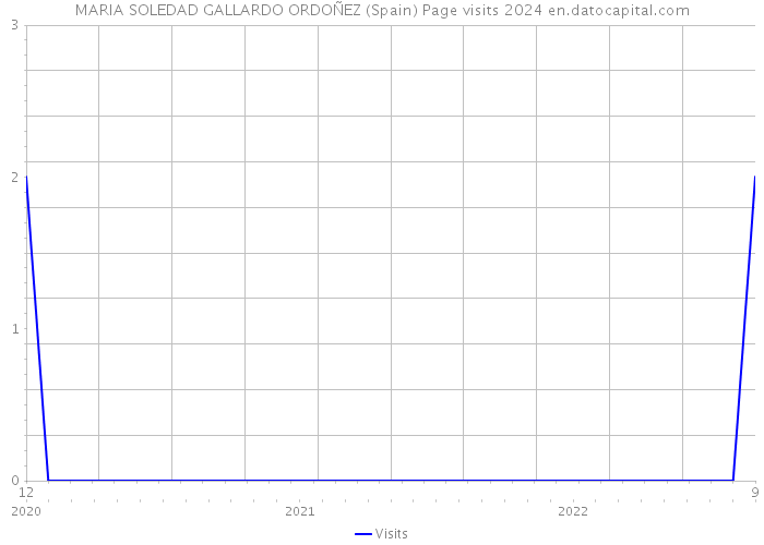 MARIA SOLEDAD GALLARDO ORDOÑEZ (Spain) Page visits 2024 