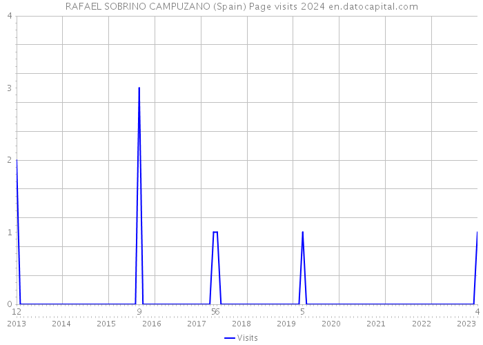 RAFAEL SOBRINO CAMPUZANO (Spain) Page visits 2024 