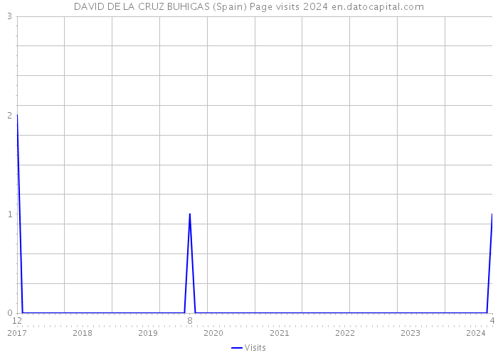 DAVID DE LA CRUZ BUHIGAS (Spain) Page visits 2024 