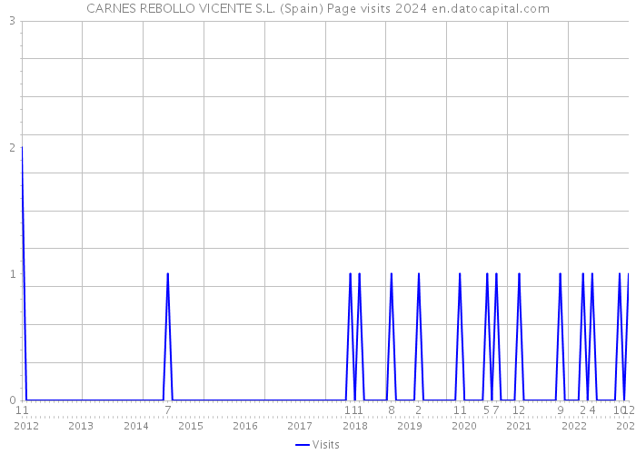 CARNES REBOLLO VICENTE S.L. (Spain) Page visits 2024 