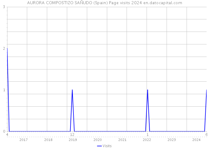 AURORA COMPOSTIZO SAÑUDO (Spain) Page visits 2024 