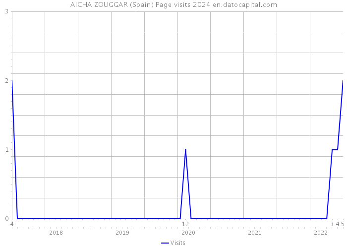 AICHA ZOUGGAR (Spain) Page visits 2024 