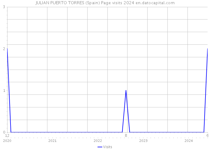 JULIAN PUERTO TORRES (Spain) Page visits 2024 