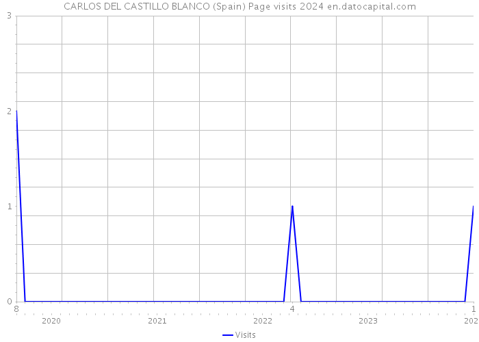 CARLOS DEL CASTILLO BLANCO (Spain) Page visits 2024 