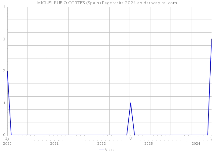 MIGUEL RUBIO CORTES (Spain) Page visits 2024 