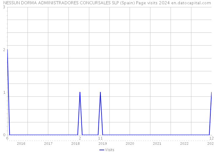 NESSUN DORMA ADMINISTRADORES CONCURSALES SLP (Spain) Page visits 2024 