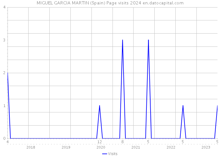 MIGUEL GARCIA MARTIN (Spain) Page visits 2024 
