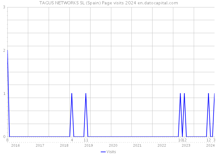 TAGUS NETWORKS SL (Spain) Page visits 2024 