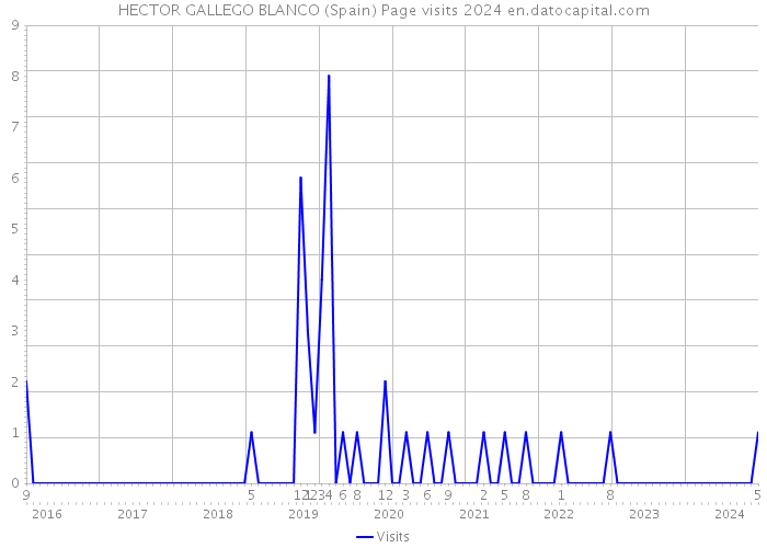 HECTOR GALLEGO BLANCO (Spain) Page visits 2024 