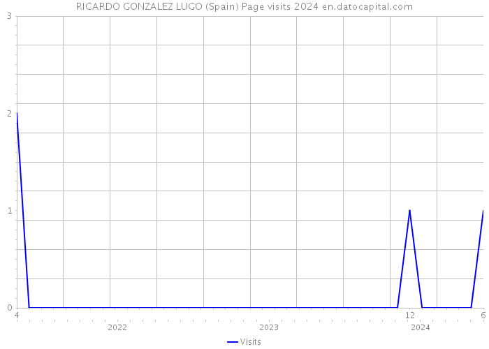RICARDO GONZALEZ LUGO (Spain) Page visits 2024 