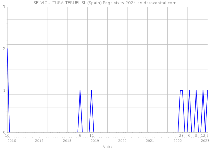 SELVICULTURA TERUEL SL (Spain) Page visits 2024 