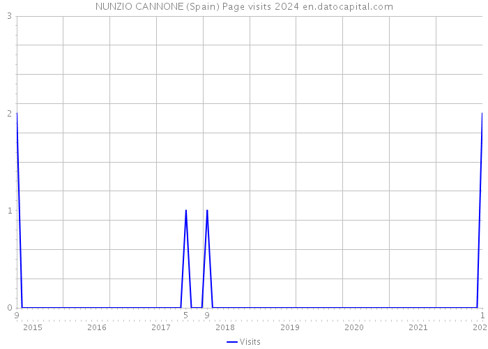 NUNZIO CANNONE (Spain) Page visits 2024 