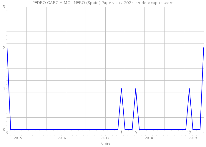 PEDRO GARCIA MOLINERO (Spain) Page visits 2024 