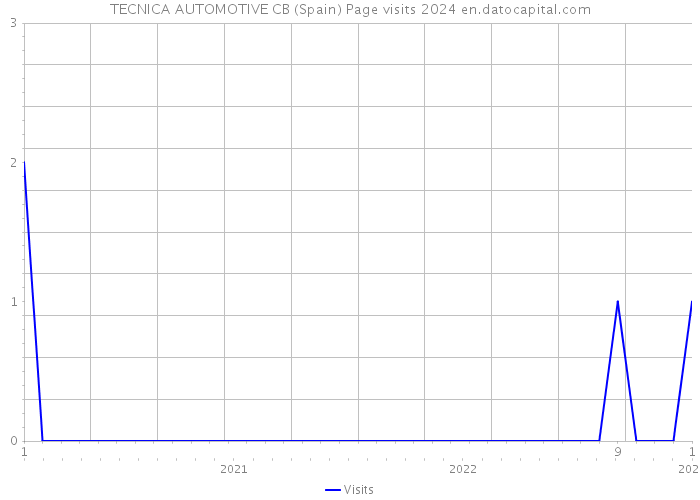 TECNICA AUTOMOTIVE CB (Spain) Page visits 2024 