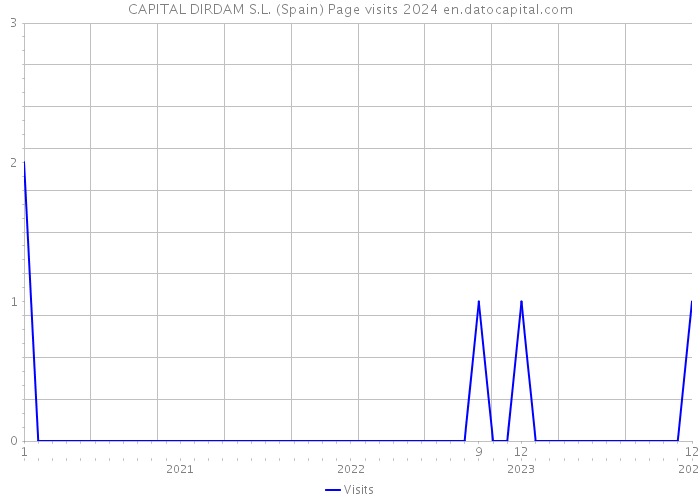 CAPITAL DIRDAM S.L. (Spain) Page visits 2024 