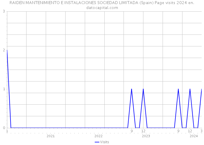 RAIDEN MANTENIMIENTO E INSTALACIONES SOCIEDAD LIMITADA (Spain) Page visits 2024 