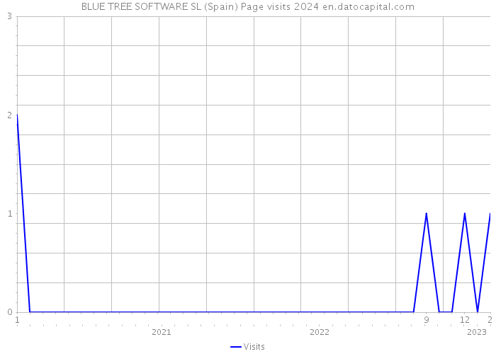 BLUE TREE SOFTWARE SL (Spain) Page visits 2024 