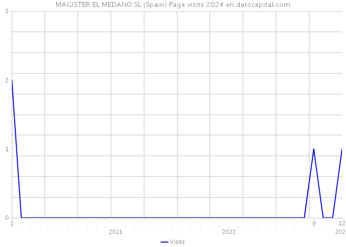 MAGISTER EL MEDANO SL (Spain) Page visits 2024 