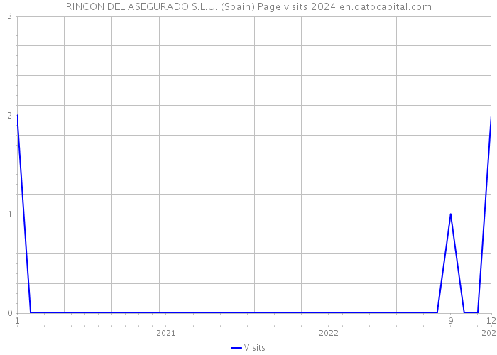 RINCON DEL ASEGURADO S.L.U. (Spain) Page visits 2024 