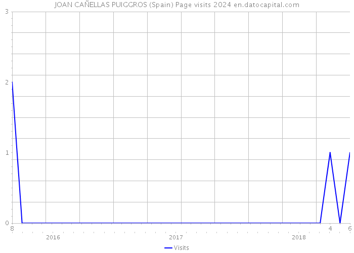 JOAN CAÑELLAS PUIGGROS (Spain) Page visits 2024 