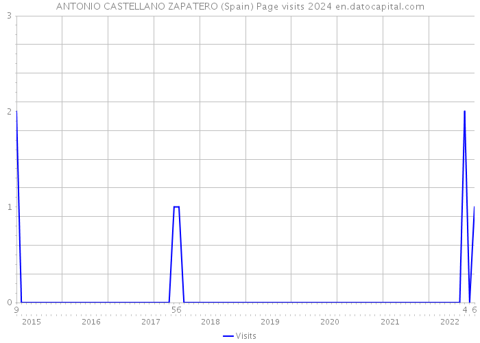 ANTONIO CASTELLANO ZAPATERO (Spain) Page visits 2024 