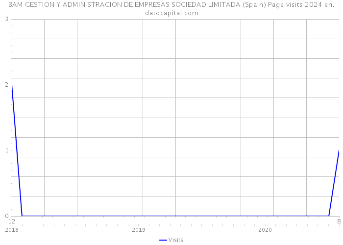 BAM GESTION Y ADMINISTRACION DE EMPRESAS SOCIEDAD LIMITADA (Spain) Page visits 2024 