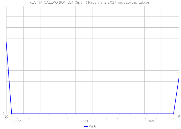 REGINA CALERO BONILLA (Spain) Page visits 2024 