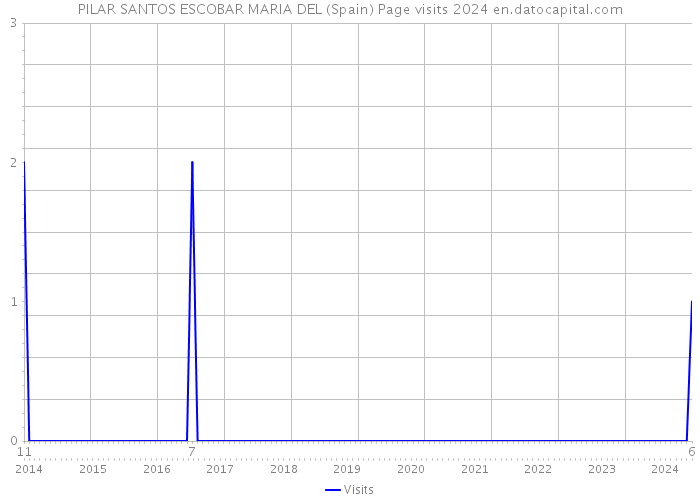 PILAR SANTOS ESCOBAR MARIA DEL (Spain) Page visits 2024 