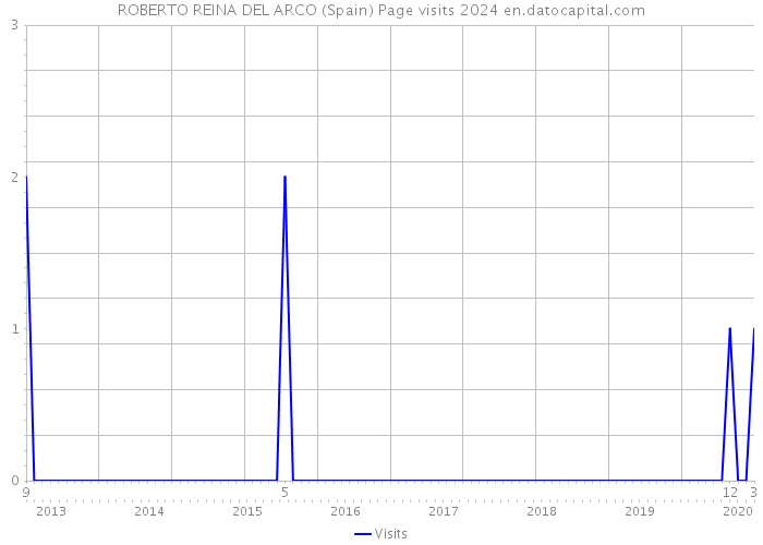 ROBERTO REINA DEL ARCO (Spain) Page visits 2024 