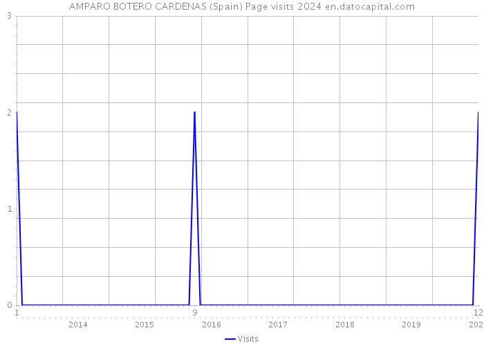 AMPARO BOTERO CARDENAS (Spain) Page visits 2024 