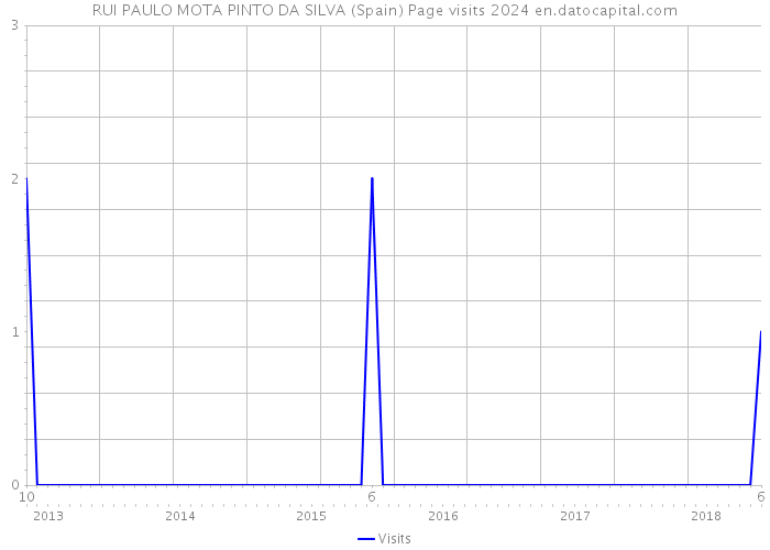 RUI PAULO MOTA PINTO DA SILVA (Spain) Page visits 2024 
