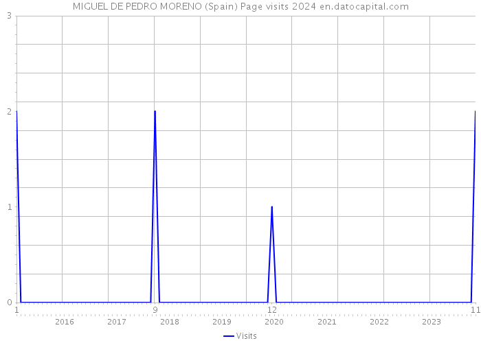 MIGUEL DE PEDRO MORENO (Spain) Page visits 2024 