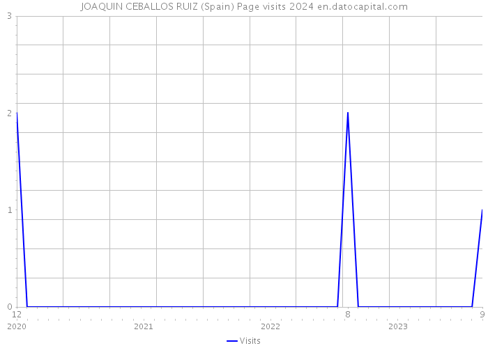 JOAQUIN CEBALLOS RUIZ (Spain) Page visits 2024 