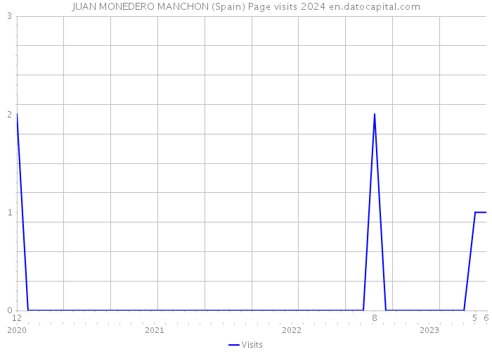 JUAN MONEDERO MANCHON (Spain) Page visits 2024 