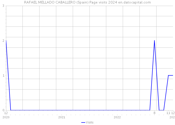 RAFAEL MELLADO CABALLERO (Spain) Page visits 2024 