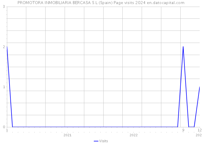 PROMOTORA INMOBILIARIA BERCASA S L (Spain) Page visits 2024 