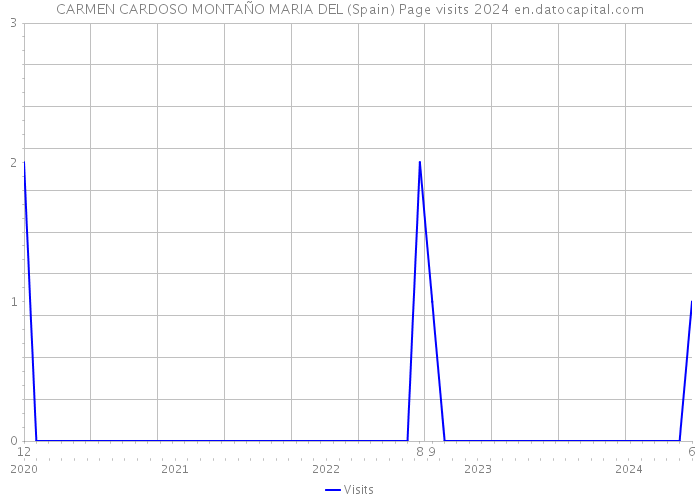 CARMEN CARDOSO MONTAÑO MARIA DEL (Spain) Page visits 2024 