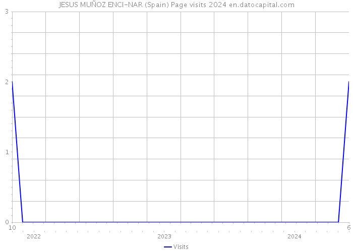 JESUS MUÑOZ ENCI-NAR (Spain) Page visits 2024 