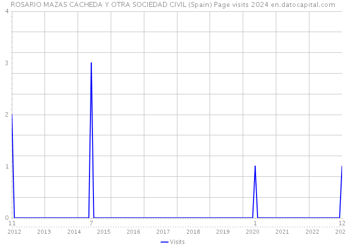 ROSARIO MAZAS CACHEDA Y OTRA SOCIEDAD CIVIL (Spain) Page visits 2024 