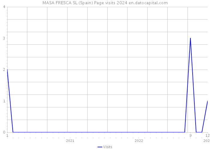 MASA FRESCA SL (Spain) Page visits 2024 