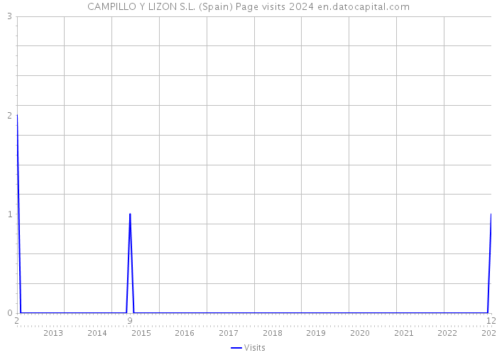 CAMPILLO Y LIZON S.L. (Spain) Page visits 2024 