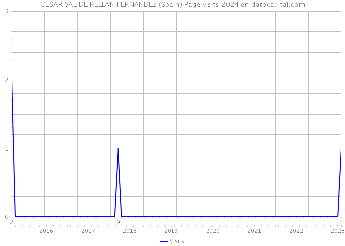 CESAR SAL DE RELLAN FERNANDEZ (Spain) Page visits 2024 