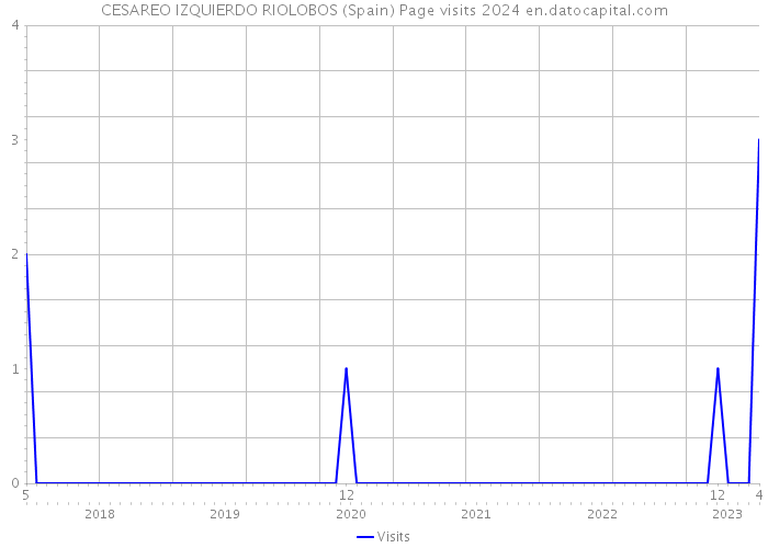 CESAREO IZQUIERDO RIOLOBOS (Spain) Page visits 2024 